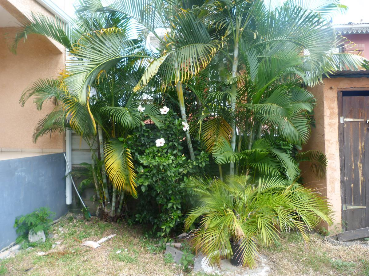 Chez Chouchou Bed & Breakfast Riviere Saint-Louis Bagian luar foto